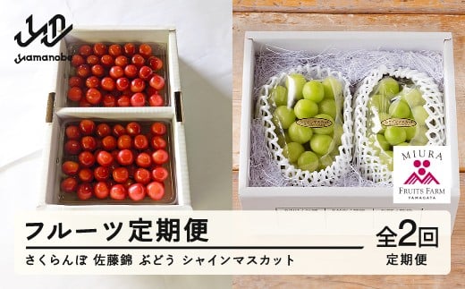【ふるさと納税】先行予約 フルーツ定期便 さくらんぼ 佐藤錦 ぶどう シャインマスカット 計2回 令和8年産 2026年産 山形県山辺町産 フルーツ 果物 bg-ftssx2