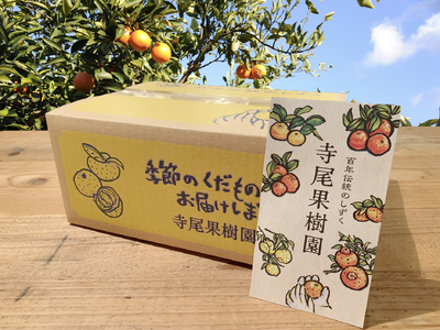 甘平　赤秀品　3kg(土居町天満産)