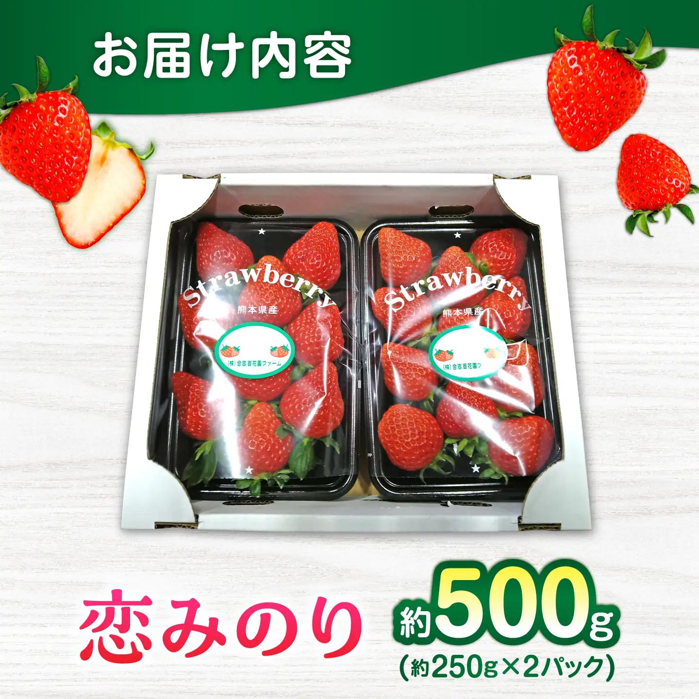 【先行予約】【2027年3月中旬より順次発送】いちご 恋みのり 百花園ファーム 約500g（約250g×2P） お試し用 11粒から14粒/P 2Lサイズ 【株式会社合志百花園ファーム】[AYDW00