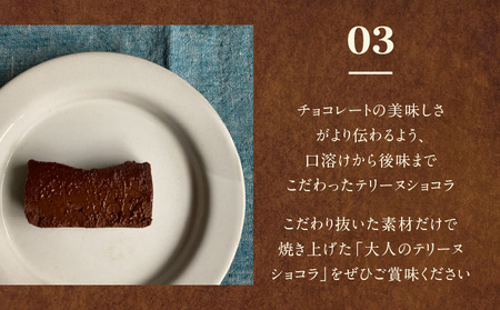 《グルテンフリー＆粗製糖使用》大人のテリーヌショコラ【025-010】
