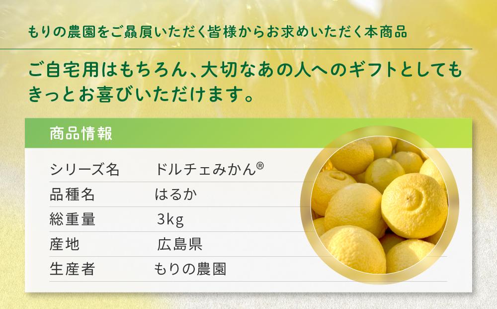 厳選！早春の香り！完熟はるか 家庭用（約3kg）2025年2月中旬～3月上旬 発送予定 フルーツ お取り寄せ 産地直送 もりの農園 ドルチェみかん【人気 おすすめ 瀬戸内 広島県  尾道市】