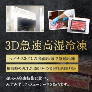 【人気鉄板焼き店厳選】熟成宮崎牛A4等級ロース・赤身すき焼き食べ比べセット　オリジナルタレ付き（国産 牛肉 黒毛和牛 宮崎牛 焼肉 すき焼き スライス 赤身 霜降り 特製タレ付き） 和牛スライス 牛肉