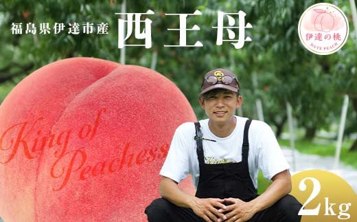キングオブピーチ 桃 「西王母」約2kg（6～8玉）西王母 伊達の桃 桃 もも モモ 果物 くだもの フルーツ 国産 食品 F21C-143