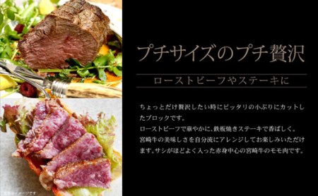 ＜宮崎牛＞モモ肉ブロック 300g※90日以内出荷【B330】