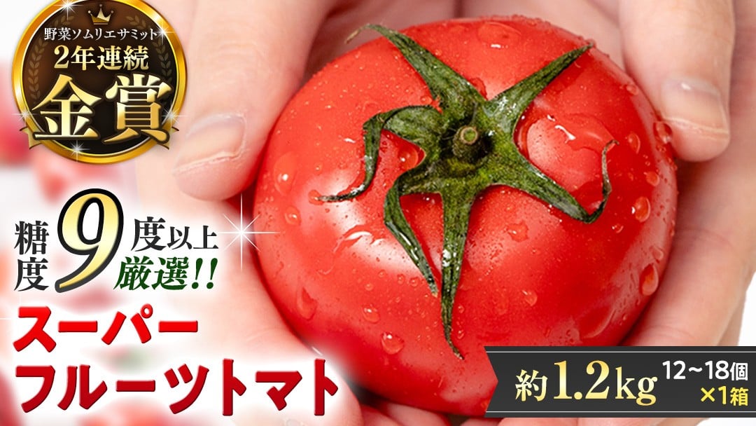 
                  《 2026年収穫分 先行予約 》 糖度9度以上 スーパーフルーツトマト 中箱 約1.2kg × 1箱 (12～18玉/1箱) フルーツトマト ブランドトマト 野菜 ギフト 贈答 [BC002sa]
                
