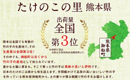 【2025年3月先行予約】熊本県 御船町 掘りたて たけのこ 4kg タケノコ 竹の子 冷蔵 ギフト グルメ 野菜 お祝い 春 筍《2025年3月上旬-4月下旬頃出荷》 有限会社ニシムラ