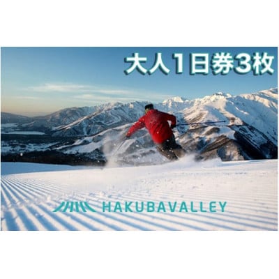 HAKUBA VALLEY 10 スキー場共通リフト券【大人1日券3枚】【1560076】