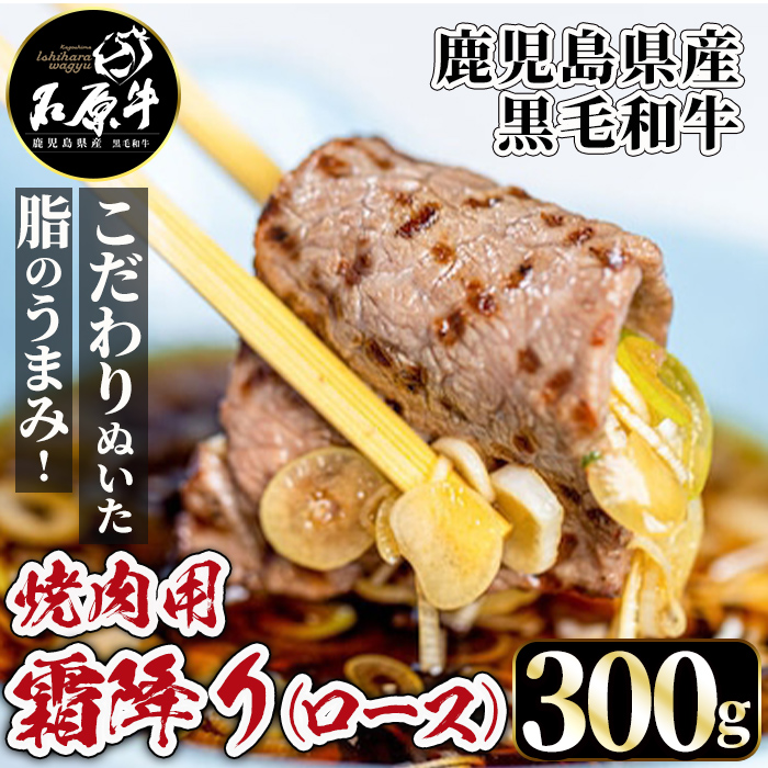 石原牛 霜降りロース 焼肉用(300g) 黒毛和牛 国産 九州産 鹿児島県産 ブランド牛 焼肉 BBQ 牛肉 和牛 霜降り ロース 冷凍【株式会社石原PRO】a-26-12