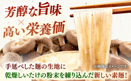 しいたけ素麺 20束 桂川町/オドラ株式会社[ADBA008]