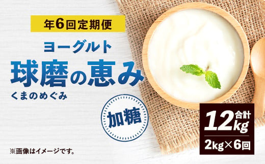 【定期便 年6回】球磨の恵み ヨーグルト 加糖 2kg×6回 合計12kg