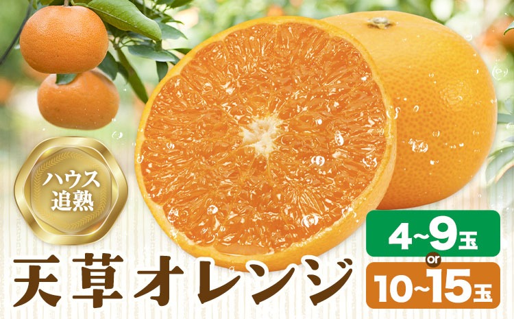 【CF】ハウス追熟 天草オレンジ 選べる内容量 4玉～9玉入 10玉～15玉入 廣畠農園《1月中旬頃出荷予定》徳島県 佐那河内村 みかん ミカン 蜜柑 柑橘 フルーツ 果物 くだもの【配送不可地域あり】※離島---sanagouchi_hhn_5_1hk---