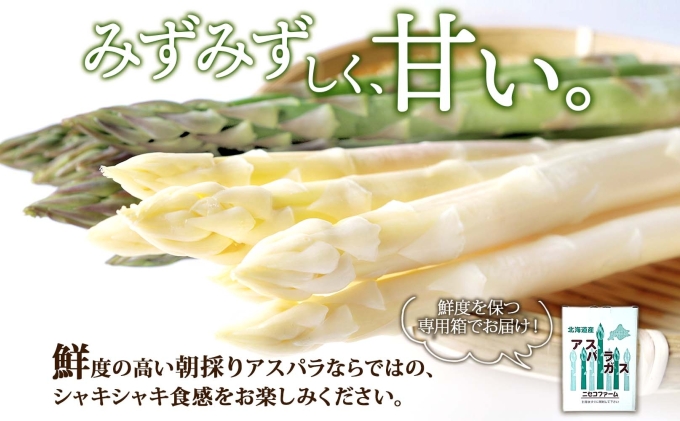 【 2026年 発送 】 北海道産 アスパラガス グリーン ホワイト 2種 約 900g×2 計1.8kg S - L サイズ混合 食べ比べ アスパラ 旬 朝採り 新鮮 お取り寄せ 産地直送 産直 野菜 農作物 詰め合わせ 国産 しりべしや