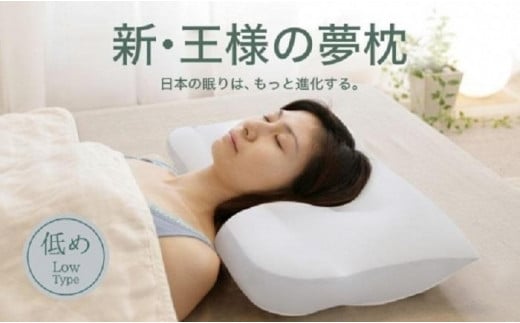 
AA156　新・王様の夢枕 低めタイプ (超極小ビーズ素材、専用枕カバー付き)【104-000505-100】

