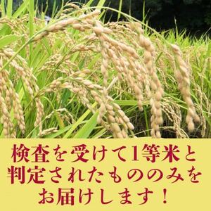 【令和7年産米】大阪府豊能町産　キヌヒカリ　精米5kg　生産者限定米【1725345】