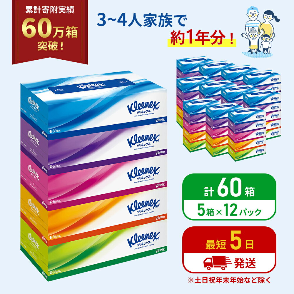 ティッシュペーパー クリネックスティシュー 60箱 360枚(180組) 5箱×12パック入り　【 ティッシュペーパー ティッシュ クリネックス 雑貨 日用品 】