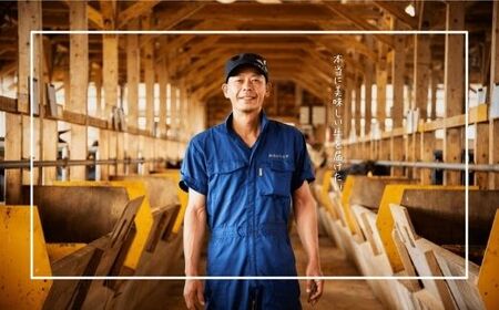 数量限定 隠岐牛 牛すじボイル 400g×3パック 牛すじ