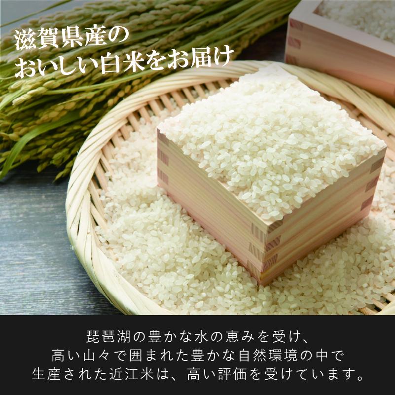 【先行受付】 新米 みずかがみ 白米 5kg 令和8年産 近江米 令和8年 米 お米 精米 ご飯 先行予約
