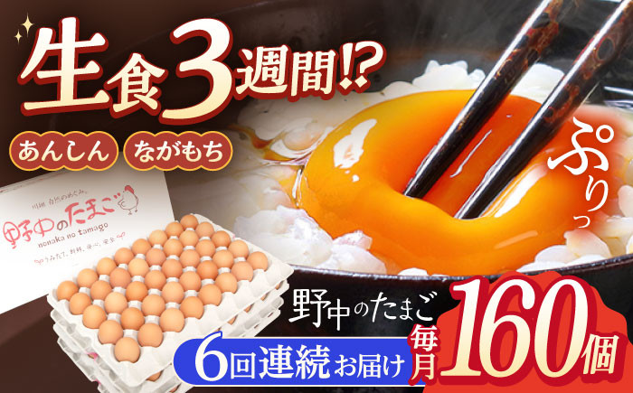 
            【6回定期便】産みたて新鮮卵 野中のたまご  160個×6回 計960個【野中鶏卵】 [OAC011] / 卵 長持ち 濃厚 玉子 濃厚 卵料理 タマゴ 鶏卵 オムレツ 卵かけご飯 卵焼き 
          