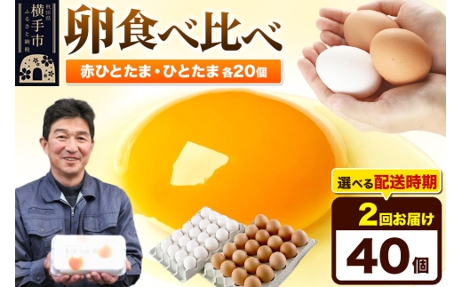 《定期便2ヶ月》赤ひとたま 20個・ひとたま 20個 計40個（業務用）