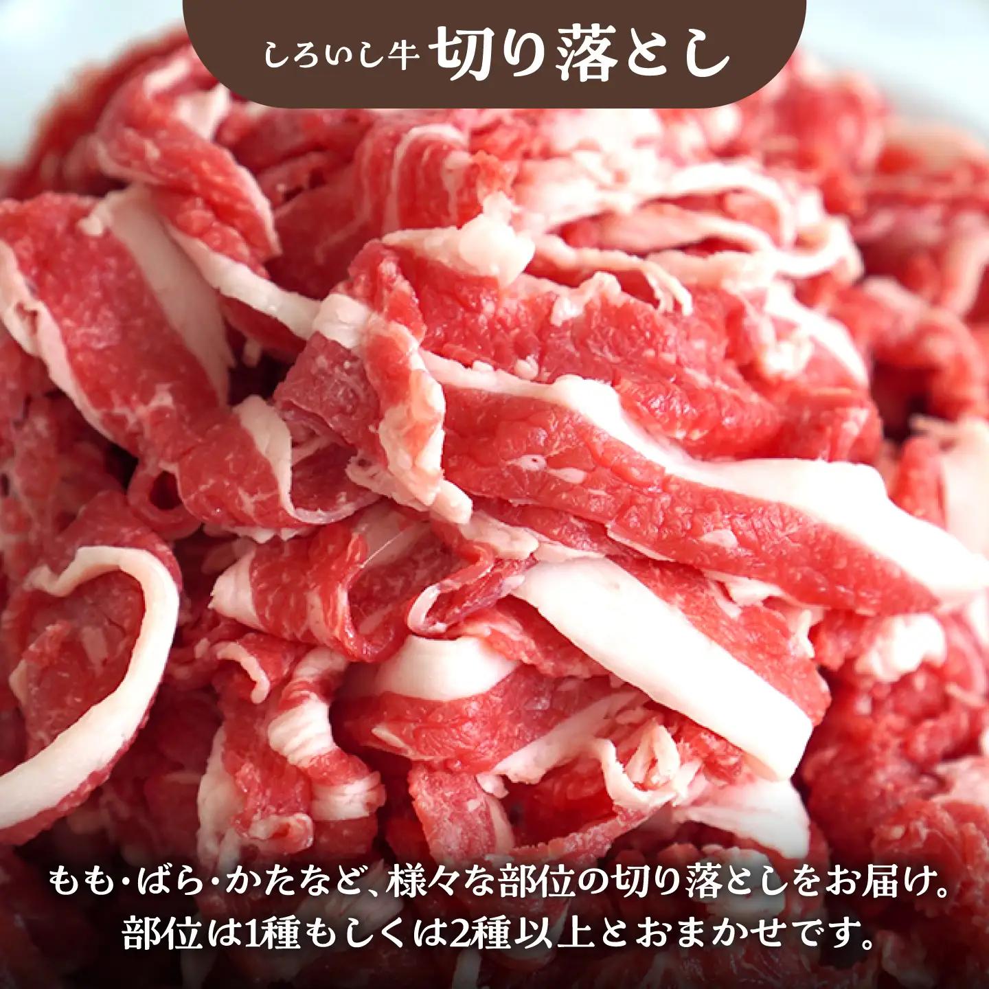 しろいし牛 食卓にうれしいバラエティ セット（切り落とし 500g＆焼肉用 500g） 佐賀セントラル牧場 [IAH194]