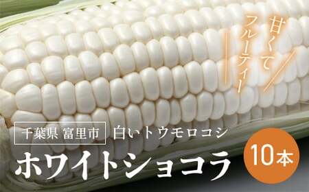【2025年6月上旬より順次配送】富里産 白いトウモロコシ「ホワイトショコラ」10本 【 ふるさと納税 人気 おすすめ ランキング ホワイトショコラ トウモロコシ 白いトウモロコシ 採れたて 産地直送 千葉県 富里市 送料無料 】TME010