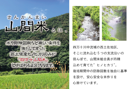 R5-834．【令和5年産】四万十川の支流で育った山間米2ｋｇ×5袋（計10ｋｇ）【1～2合炊飯する方におススメ！】（ヒノヒカリ）