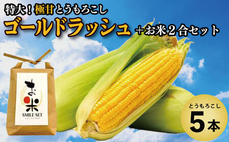 とうもろこし ゴールドラッシュ 5本 米 2合 セット 先行予約 とうもろこし とうもろこし とうもろこし とうもろこし 米 米 米 米 米