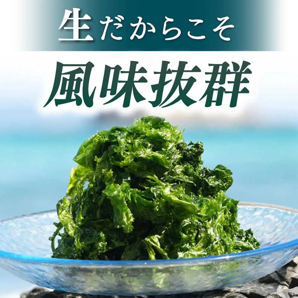 上五島産 生あおさ 100g×5袋【ごとうみ】[RCR001]