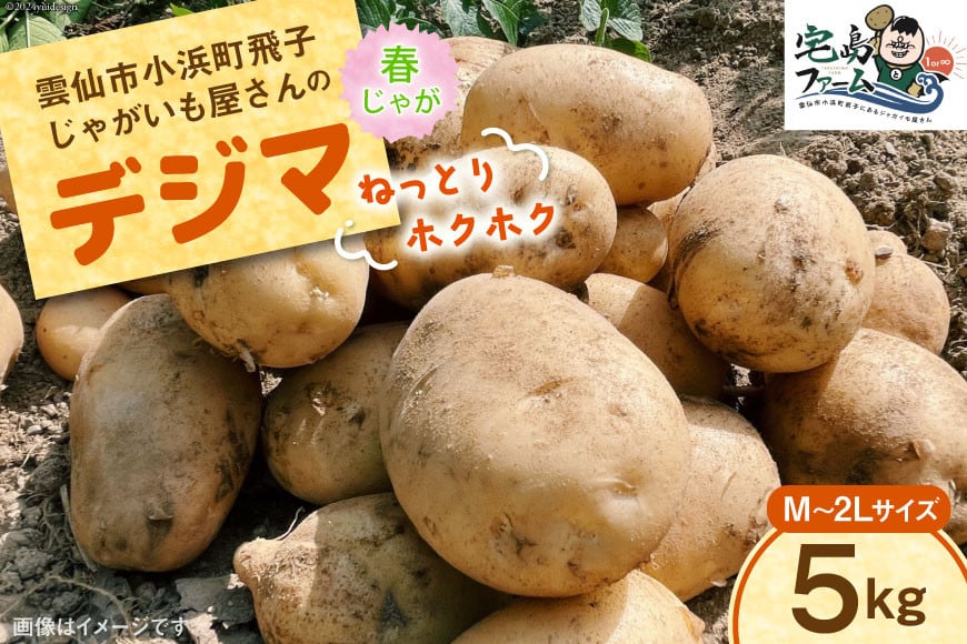 
【先行受付】 じゃがいも デジマ 5kg [宅島ファーム 長崎県 雲仙市 item1169] 野菜 ジャガイモ 5キロ でじま デジマ 馬鈴薯 春じゃが 長崎県産 期間限定
