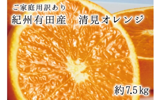 【ご家庭用訳アリ】紀州有田産清見オレンジ7.5kg サイズお任せ ※2025年3月下旬〜2025年4月中旬頃に順次発送予定(お届け日指定不可) 【uot730】