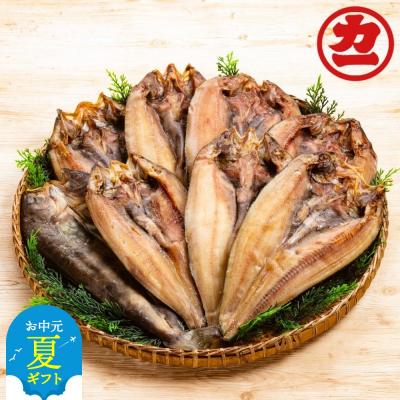 ふるさと納税 紋別市 【お中元】どどーんと8枚!しまほっけ一夜干しセット