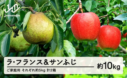 
                  【先行予約】ラ・フランス サンふじ セット ご家庭用 約10kg 各約5kg 各1箱 計2箱 洋梨 りんご 2026年産 山形県産 ※沖縄・離島への配送不可 送料無料 tf-fslrx5
                