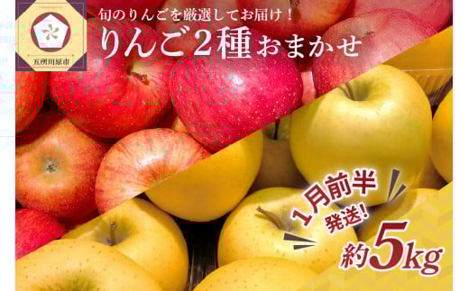 【2026年1月前半発送】 りんご 青森産 約5kg 品種おまかせ2種以上 贈答用 特選～特秀