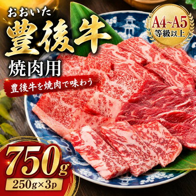 【ふるさと納税】【A4～A5】おおいた豊後牛焼肉用 750g(250g×3p)【配送不可地域：離島】【1764379】
