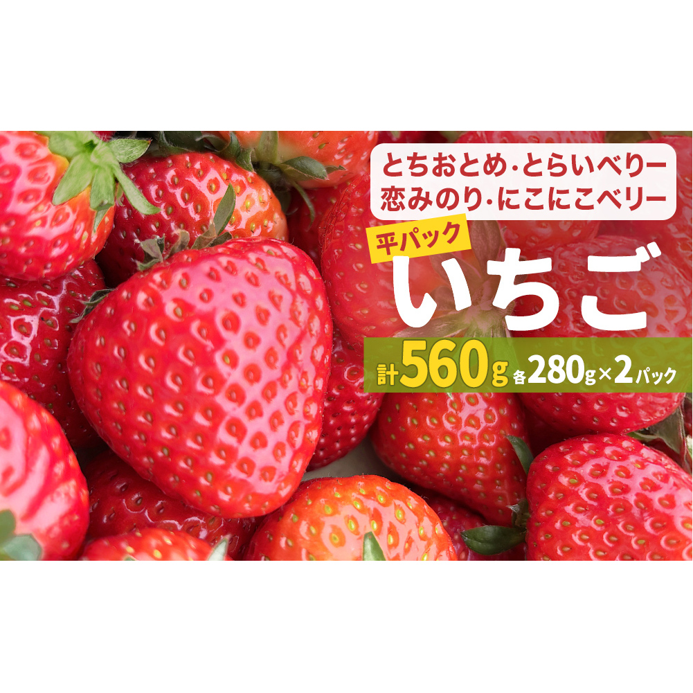 【2026年1月中旬発送開始】 いちご とちおとめ 恋みのり にこにこベリー とらいべりー 280g × 2  平パック 苺 イチゴ フルーツ 果物 ストロベリー ベリー デザート 甘み 酸味 宮城県 石巻市