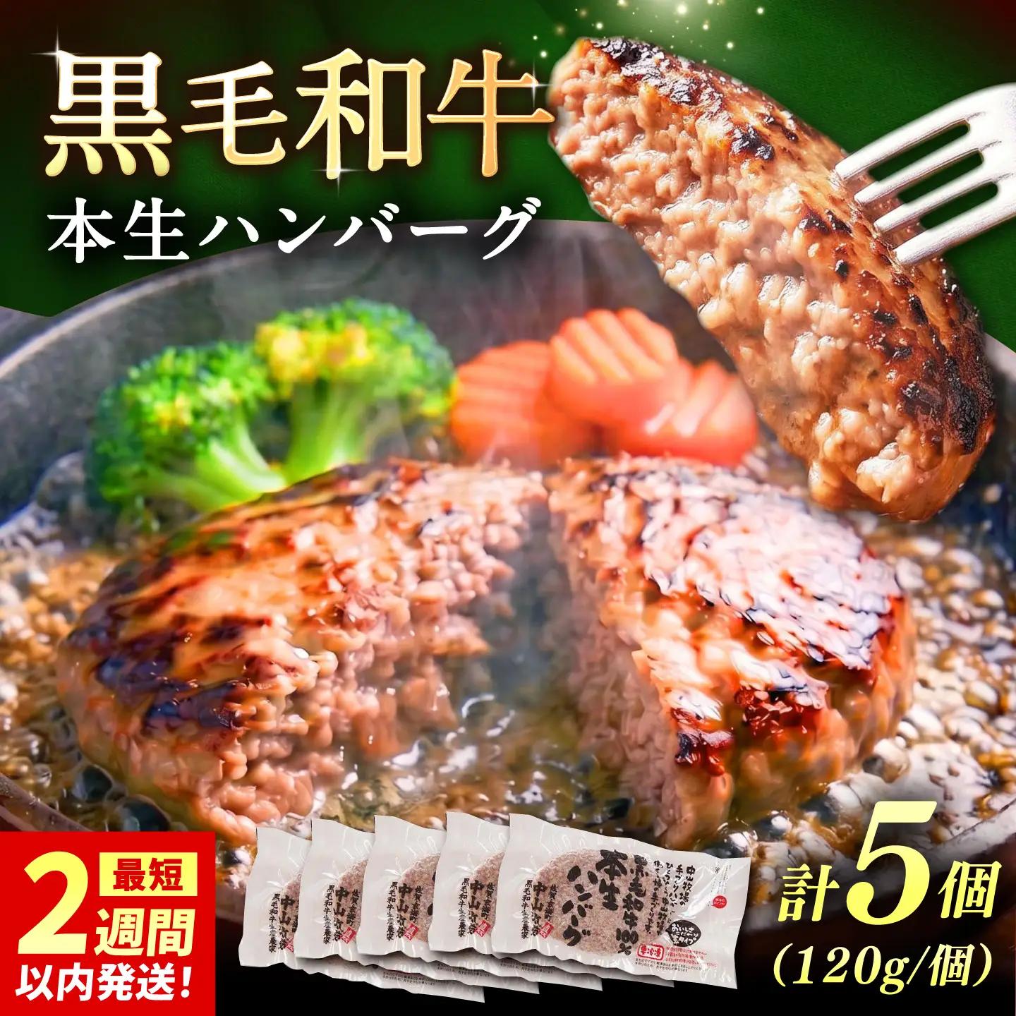 国産黒毛和牛本生ハンバーグ 計600g（120g×5個） / 佐賀県 / 株式会社中山牧場 [41AOCW004]
