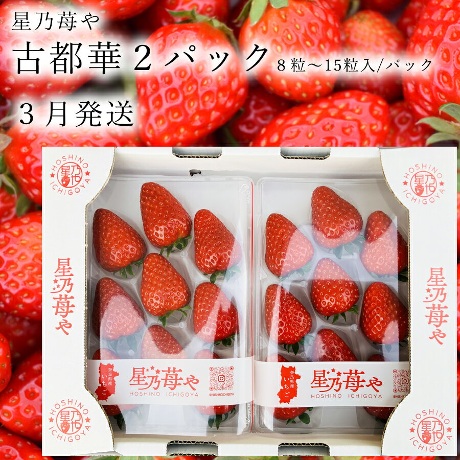【ふるさと納税】先行予約 奈良県ブランドイチゴ古都華2パック 3月発送 // /苺 いちご イチゴ 古都華 奈良 奈良県 広陵町 生産者直送 直送 厳選 数量限定 旬 フルーツ 甘い 完熟 果物 星乃苺や