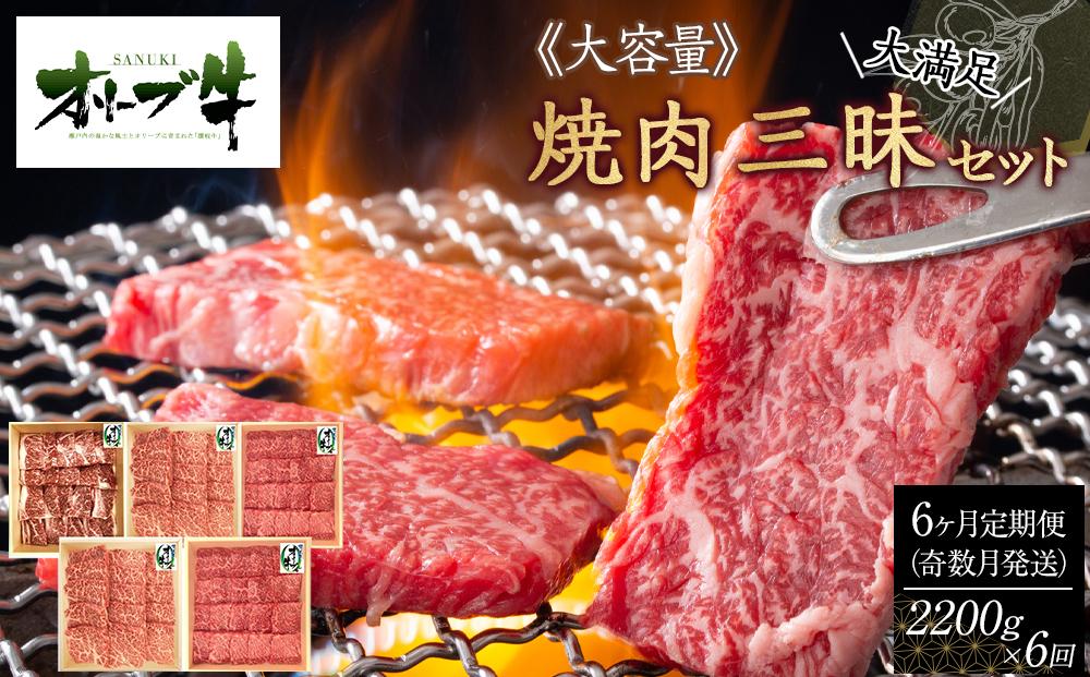 奇数月発送≪6カ月定期便・大容量≫オリーブ牛焼肉三昧大満足セット　2200g×6回 372013_HM168