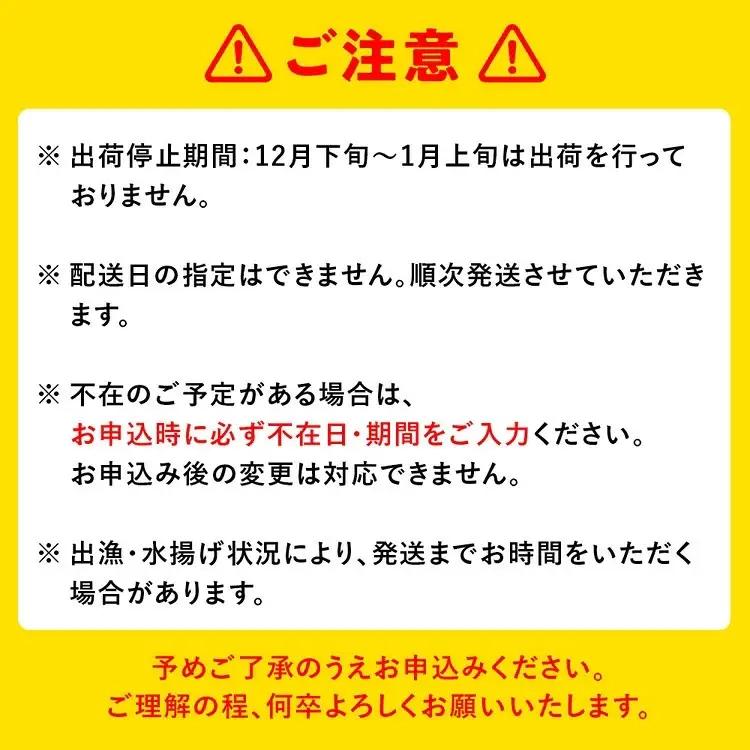 白えびミックス（刺身・昆布締め）