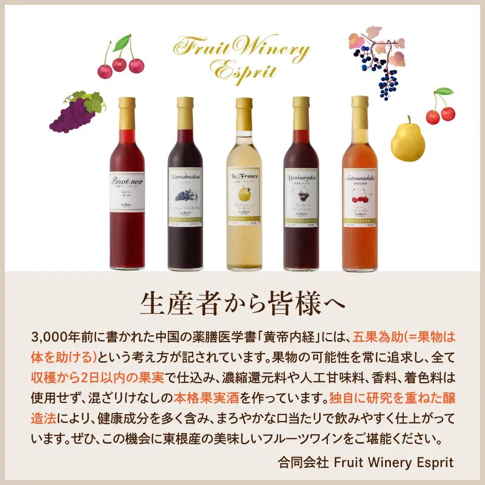 紅さやかワイン 500ml×2本 ワイン フルーツワイン さくらんぼ