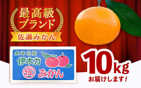 【食べる濃厚ジュース】佐瀬みかん 10kg / みかん ミカン 蜜柑 オレンジ 柑橘 フルーツ ふるーつ 果物 くだもの みかんジュース 甘い / 諫早市 / 一正[AHFL002]