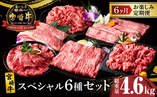 6か月お楽しみ定期便『宮崎牛スペシャル6種セット』総重量4.6kg 肉 牛 牛肉 焼肉 国産_T009-0021