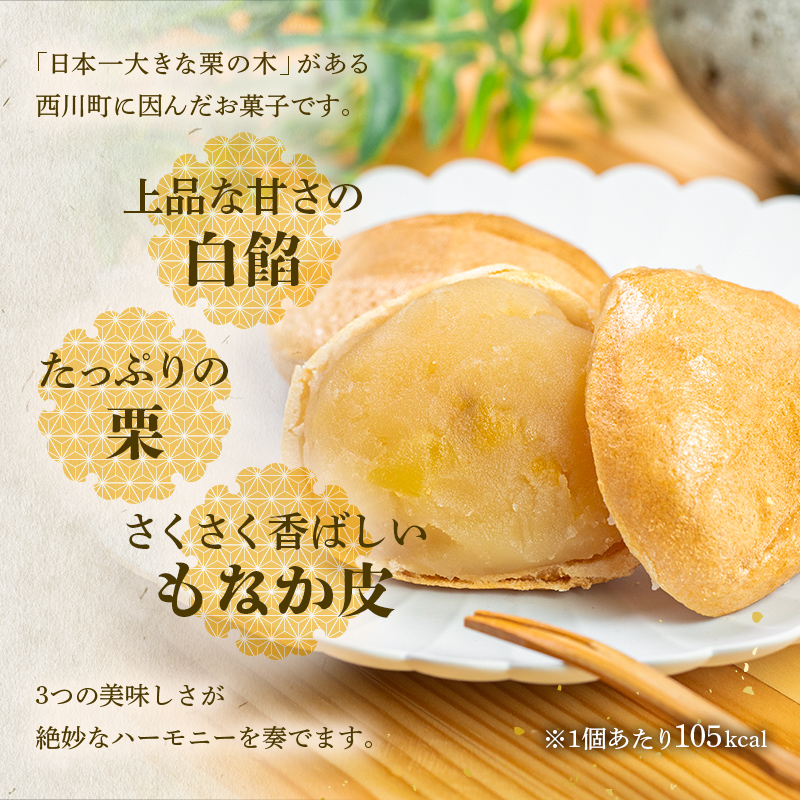 FYN9-714 【西川町銘菓】日本一大きな栗の木「栗もなか」 3個入 全国菓子博覧会 技術優秀賞受賞 和菓子 最中 山形県 西川町