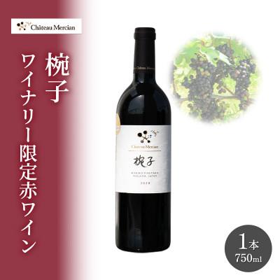 ふるさと納税 上田市 限定 赤ワイン 750ml 椀子 [54041120]