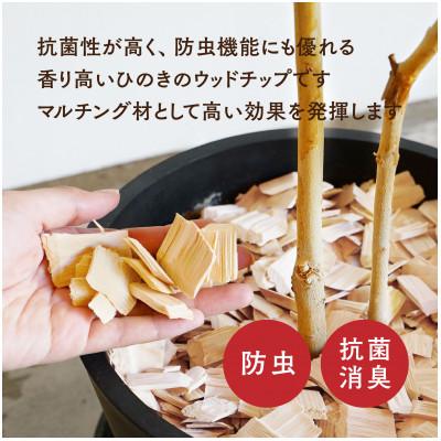 ふるさと納税 南木曽町 長野県木曽産　木曽ひのきウッドチップ　50L |  | 01