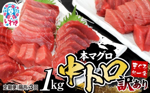【定期便/隔月/計3回】本マグロ訳あり中トロ1kg（計3kg）|マグロ 中トロ  約6～8人前 本まぐろ 解凍レシピ付 鮪 海鮮丼 刺身 寿司 鉄火丼