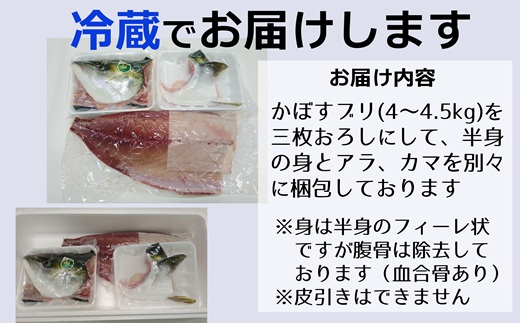 【先行予約】さっぱり美味い「うすき産（養殖）かぼすブリ」約2kg弱（半身）　冷蔵　着日指定　ブリカマ　ぶりしゃぶ