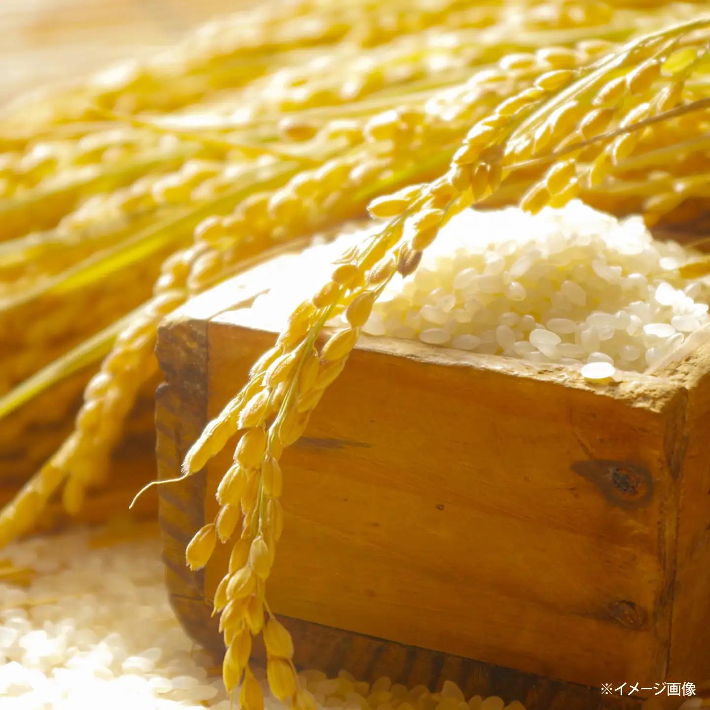 【全3回定期便】 【令和8年度産】 福岡県産米 夢つくし 30kg(5kg×6袋) 精米 桂川町/有限会社ファインリョーコク [ADCE008] 