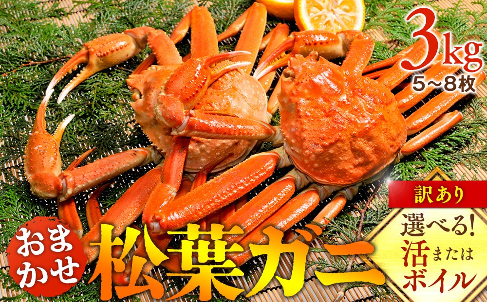 
                  【選べます！活またはボイル】訳あり 松葉ガニおまかせ3kg（5～8枚）※2026年11月上旬～2027年3月下旬頃に順次発送予定※着日指定不可 ｜ 蟹 かに 松葉ガニ 松葉蟹 訳あり 家庭用 鳥取県産 北栄町 おすすめ 人気
                