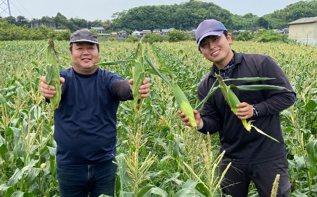 【先行受付】 とうもろこし ピュアホワイト 約4kg